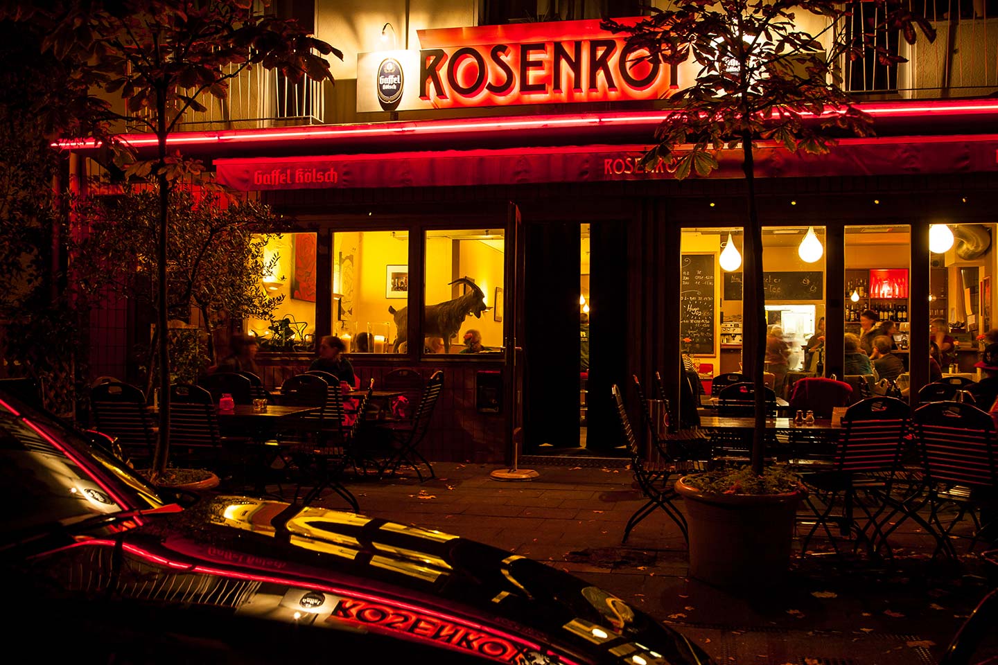 Rosenrot - Galeriebild